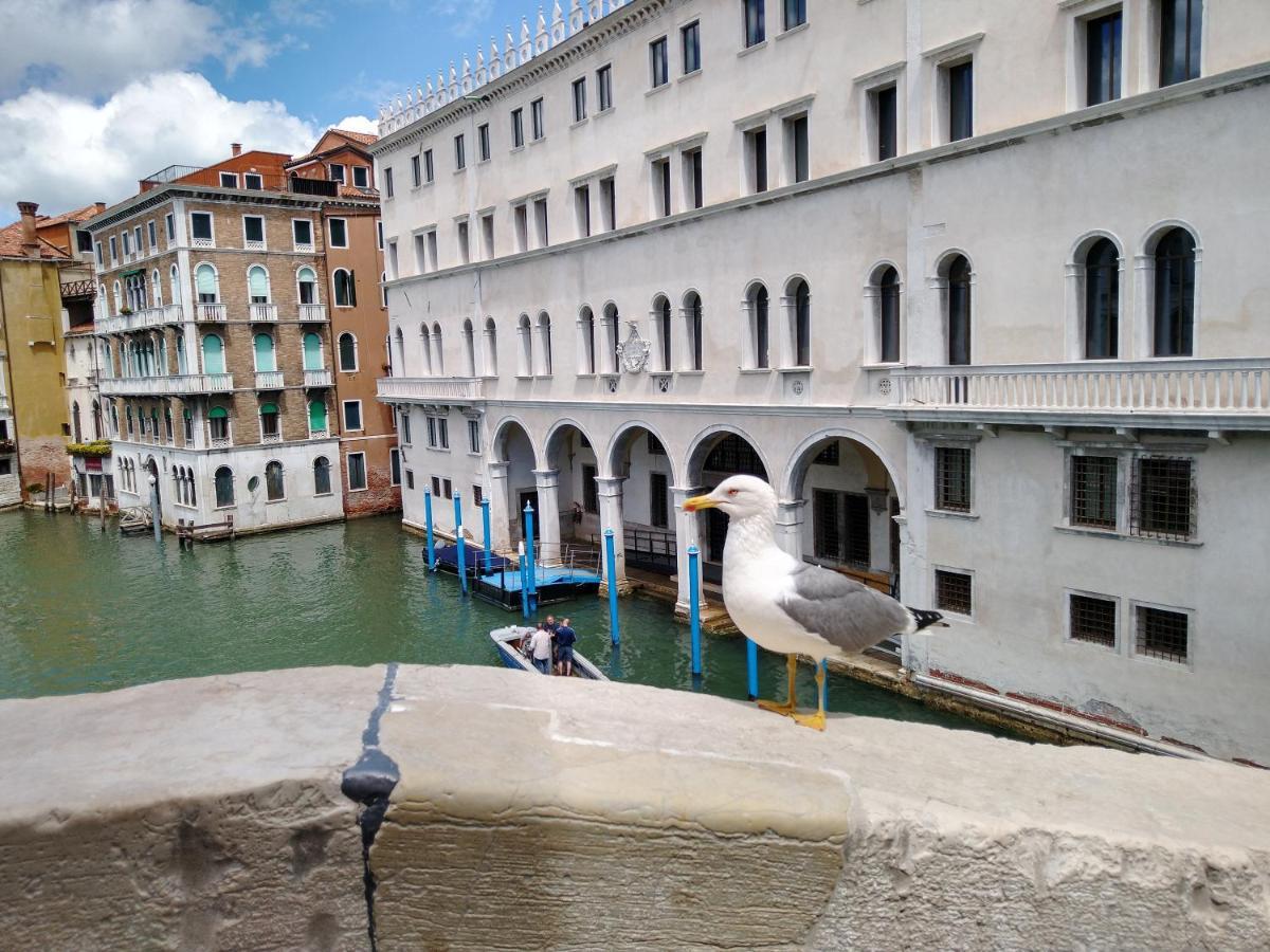 Island Apartamento Venecia